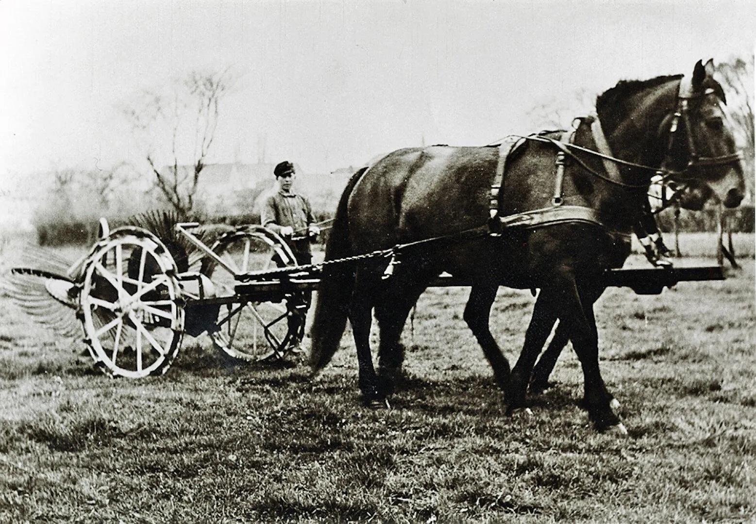 1947 - Storage harvester pulled by horses