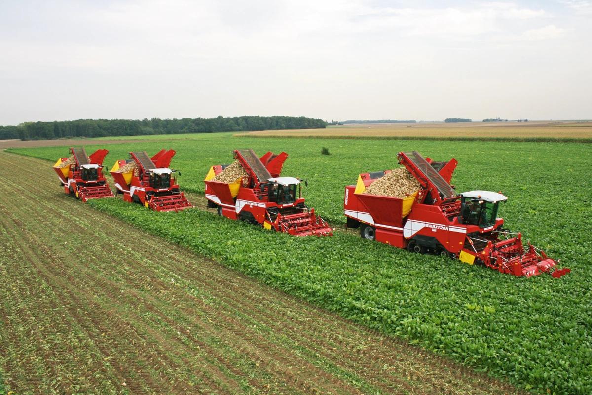 2003 - MAXTRON Beet harvester