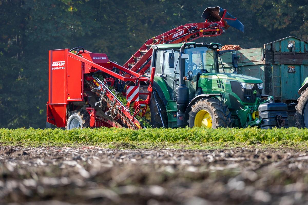 Carrot harvester